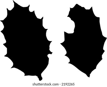 holly leaves