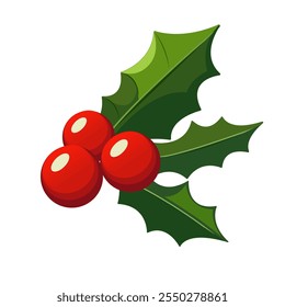 Holly leaves and berries. Christmas holly berries symbol. Holly berries. Mistletoe. Christmas mistletoe. Cute bright mistletoe isolated on white background. Mistletoe symbol of christmas. Xmas Holly. 