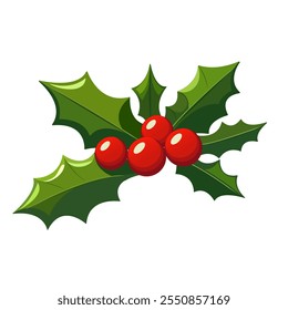 Folhas de Holly e bagas. Símbolo das bagas de Natal. Bagas sagradas. Mistletoe. Natal sagrado. Bonito azevinho brilhante isolado em fundo branco. Símbolo de visco de Natal. Xmas Holly. Vetor