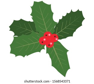 Holly leaves and berries in composition