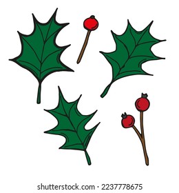 Hojas y bayas. Elementos para una corona navideña y decoraciones. Ilustración del vector