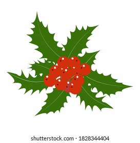 Holly with leaves and berries on white background. New year and xmas celebration.  Merry christmas holiday. Happy new year decoration. Vector illustration isolated on white background. Flat style.