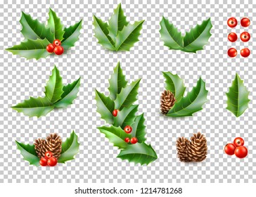 Holly leaves with berries, pine cone realistic set on transparent background. Merry christmas happy new year holidays poster banner invitation card design. Vector ilex, mistletoe and spruce tree con