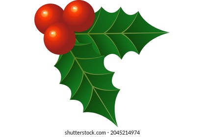 Holly leaves with red berries