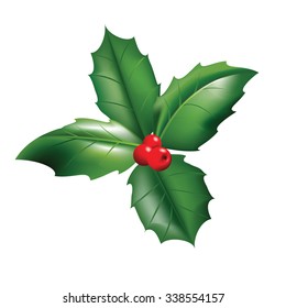 Holly Leaves with Red Berries