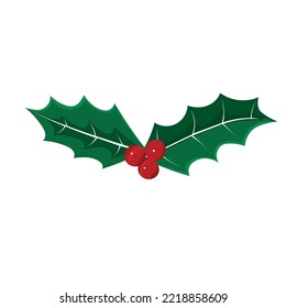 Holly leaves with red berries for Christmas decoration, green holly leaves design element