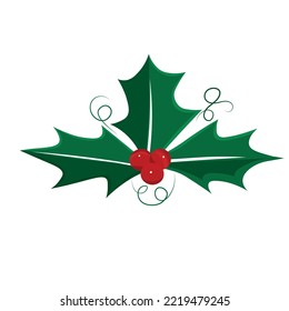 Holly leaves with red berries for Christmas decoration, green holly leaves design element