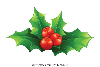 Holly leaves with red berries, Christmas decoration element. Vector cartoon illustration
