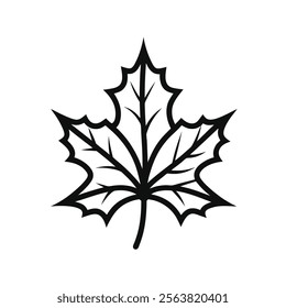 holly line art vector on white background 