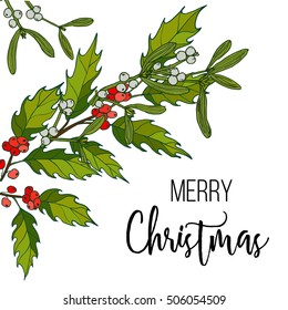 Holly and mistletoe. Christmas and New Year greeting card, vector illustration