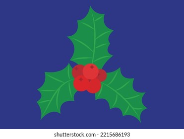 Holly or mistletoe on blue background.