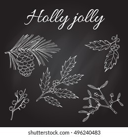 Holly, pine and mistletoe. Christmas And New Year Greeting card, vector illustration