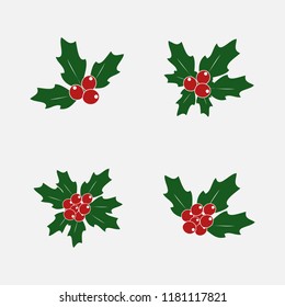 Holly plant. Vector illustration with herbs, berries and flowers for design solution. Christmas cards, banners, decorations.