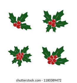 Holly plant. Vector illustration of a set of samples for the cards.