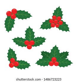 Holly plant. Vector illustration of a set of samples for the cards.