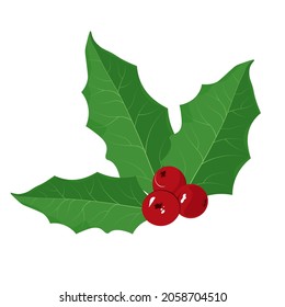 Holly, red berries vector stock illustration. Christmas decorations. Green leaves. New Year's mood. Isolated on a white background.