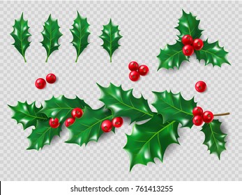 Holly Set. Realistic leaves, branch, red berries. Christmas and New Year decorations. 3d illustration for your layout design.