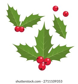 Holly. Conjunto de ícones de vetor.