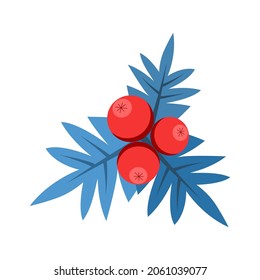 Holly sprig with berries vector illustration. Christmas decoration.