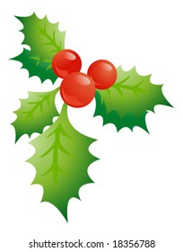 Holly sprig on white background vector illustration