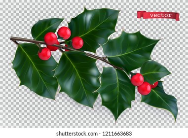 Holly traditional christmas decoration, 3d realistic vector icon