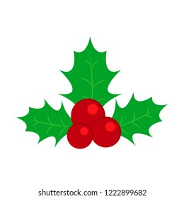 Holly of traditional Christmas the decoration icon