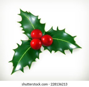 Holly, traditional Christmas decoration vector icon