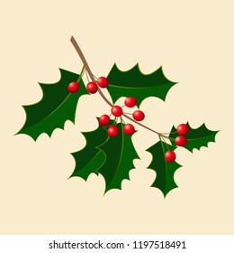 Holly. Vector illustration. Branch with berries. New Year, Christmas Traditional symbol