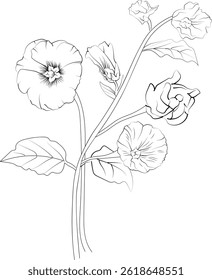 Hollyhock flower art, vector illustration of a font view Hollyhock flower in hand-drawn botanical summer elements natural collection, Hollyhock line art for coloring page, Hollyhock flower outline