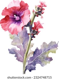 Hollyhock Flower Watercolor illustration. Hand drawn underwater element design. Artistic vector marine design element. Illustration for greeting cards, printing and other design projects.