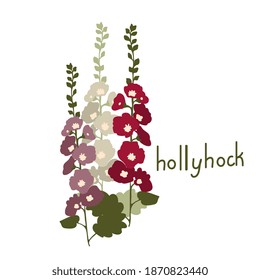 Ilustración aislada de la flor vectorial Hollyhock