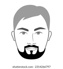 The Hollywood Writer Beard style men in face illustration Facial hair mustache. Vector grey black portrait male Fashion template flat barber set. Stylish hairstyle isolated outline on white background