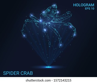 Hologram crab spider. Holographic projection spider crab. Flickering energy flux of particles. Scientific design animals.