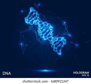 A hologram of DNA. A DNA chain of polygons, triangles , points, and lines. DNA is a low-poly compound structure. The technology concept.