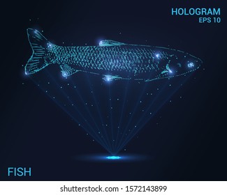 Hologram fish. A holographic projection of river fish. Flickering energy flux of particles. Scientific design animals.