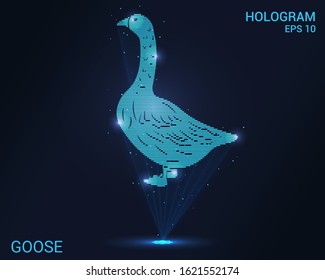 Hologram goose. Holographic projection of the goose. Flickering energy flux of particles. Scientific design of a bird.