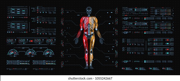 Hologram Human anatomy and skeleton. Abstract health hud ui interface element of medical science.