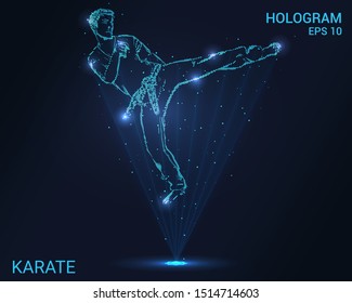 Hologram karate. Holographic projection karate. Flickering energy flux of particles. The scientific design of the sport.