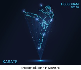 Hologram of karate. Holographic projection of a karate a jump. Flickering energy flux of particles. Scientific sports design.