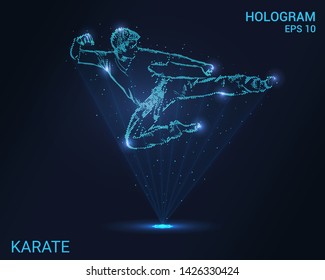 Hologram of karate. Holographic projection of martial arts. Flickering energy flux of particles. The scientific design of the sport.