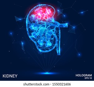 Hologram kidney. Pain in the kidneys made up of polygons, triangles, dots and lines. Kidney is a low poly compound structure. The technology concept.