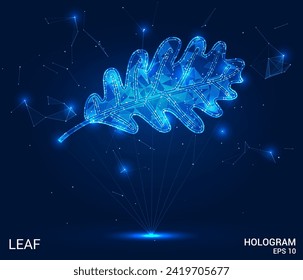 Hologram leaf. The oak leaf consists of polygons, triangles of points and lines. The leaf of the tree is a low-poly compound structure. Technology concept vector.