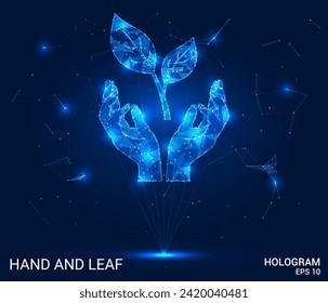 Hologram of leaves in the palms. Leaves in the palms of polygons, triangles of dots and lines. The leaves are a low-poly compound structure. Technology concept vector.