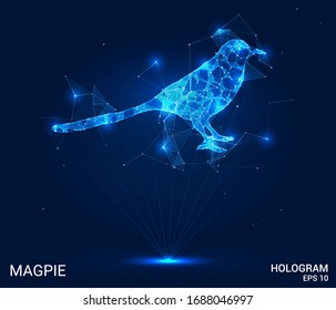 Ein Hologramm-Magie. Magie aus Polygonen, Dreiecken, Punkten und Linien. Magpie Low-Poly-Struktur. Das Technologiekonzept.