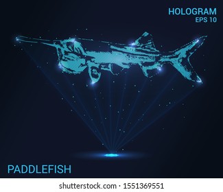 Hologram paddlefish. Holographic projection paddlefish. Flickering energy flux of particles. Scientific design animals.