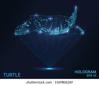 Hologram sea turtle. Holographic projection of a sea turtle. Flickering energy flux of particles. Scientific design animals.