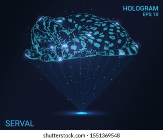 Hologram Serval. A holographic projection of Serval. Flickering energy flux of particles. Scientific design animals.