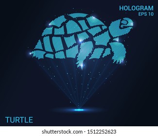 Hologram turtle. Holographic projection turtle. Flickering energy flux of particles. Scientific registration of reptiles.