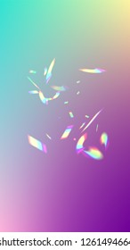 Holographic Light Glitch Effect. Iridescent Background. 
Vector Rainbow Gradient with Sunshine Glare.  Creative Festive Backdrop. 
Mesh Holographic Foil. Trendy Hologram Vector Background.
