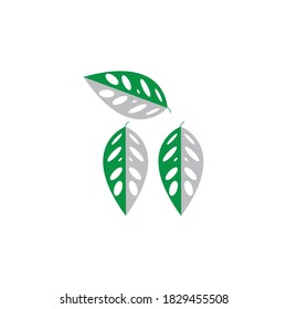 holow leaves vector design ilustration icon logo templat
